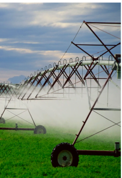 NFS - Irrigation Industry