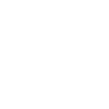 nfs valves icon