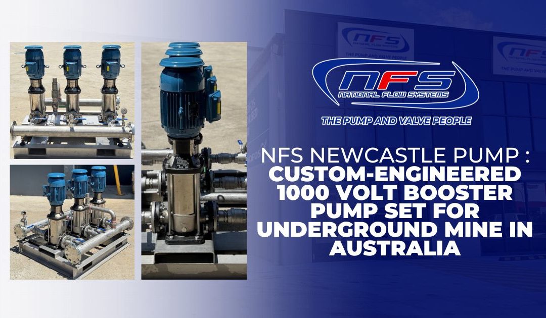 Grundfos 1000 v Custom - NFS newcastle