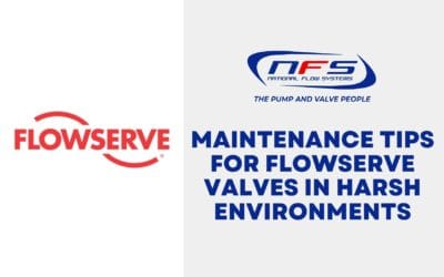 Maintenance Tips for Flowserve Valves in Harsh Environments