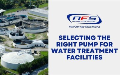 Selecting the Right Pump for Water Treatment Facilities