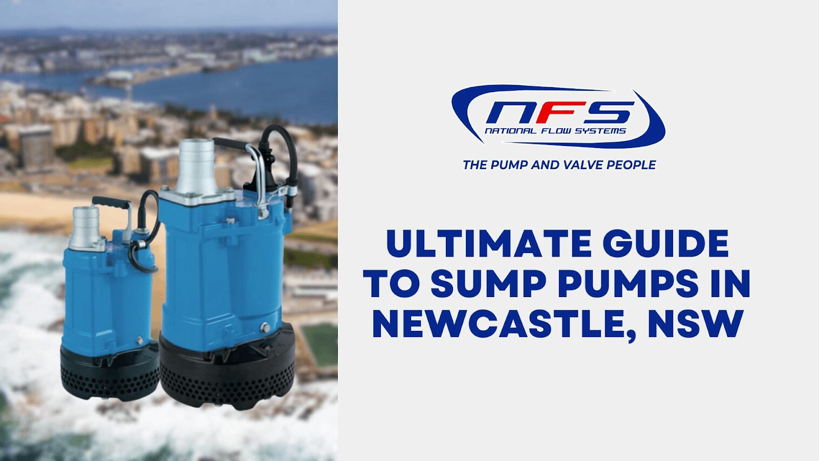 Ultimate Guide to Sump Pumps in Newcastle | NFS 2025